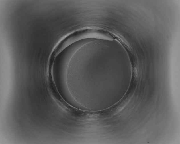 X0000113110484200909041249