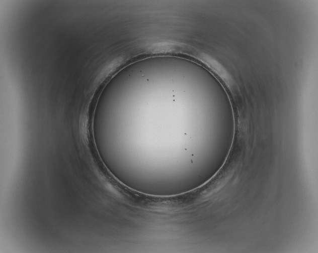 X0000113110485200909041249
