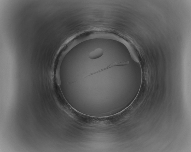 X0000113110488200909041249