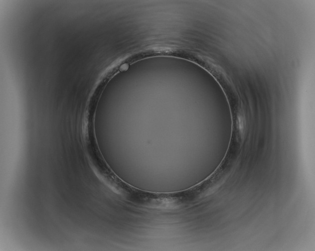 X0000113110492200909041249