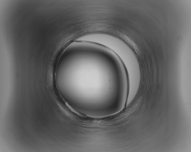 X0000113110493200909041249
