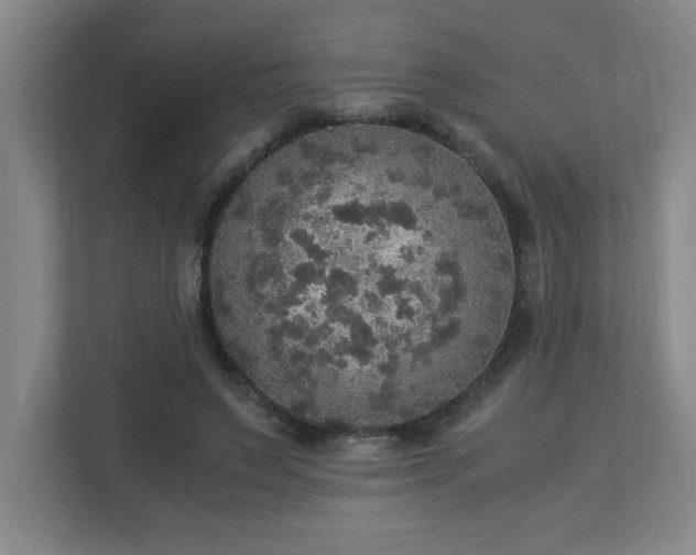 X0000113110495200909041249