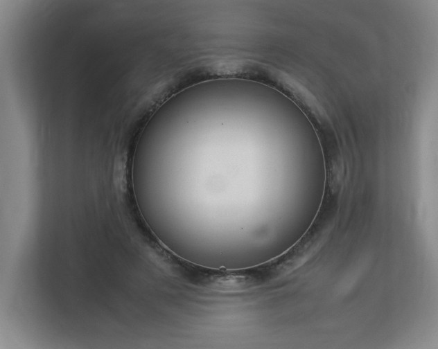 X0000113110497200909041249