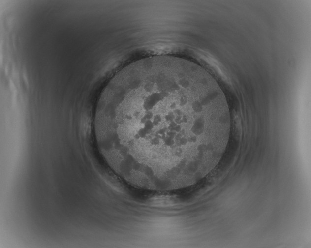 X0000113110499200909041249