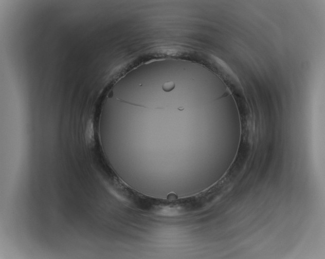 X0000113110500200909041249