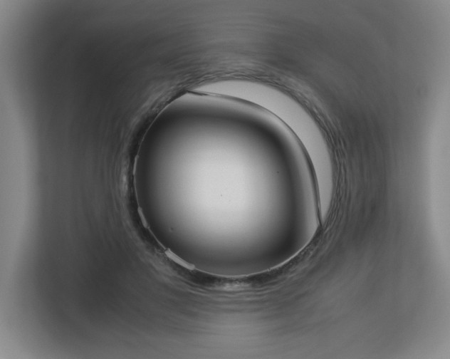 X0000113110501200909041249