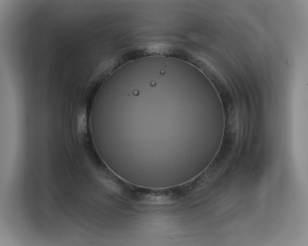 X0000113110502200909041249