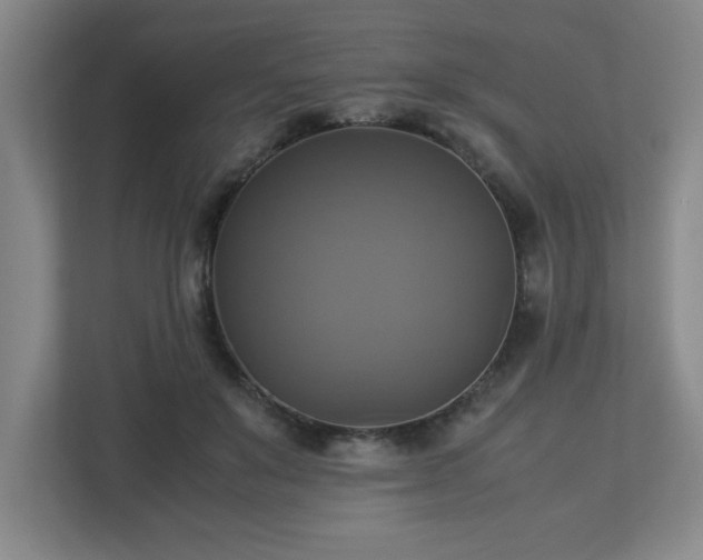 X0000113110503200909041249