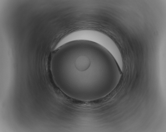 X0000113110504200909041249