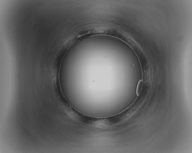 X0000113110505200909041249