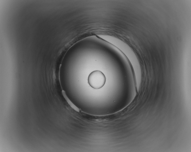 X0000113110508200909041249