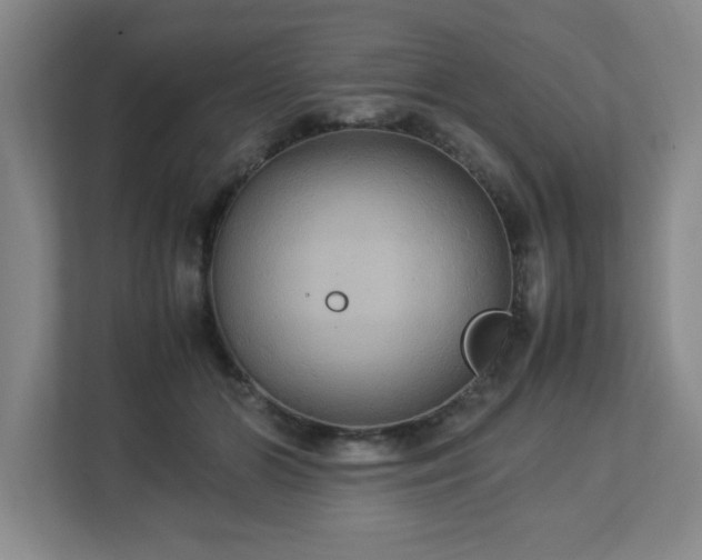 X0000113110510200909041249