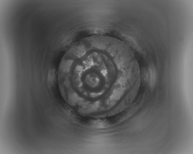 X0000113110511200909041249