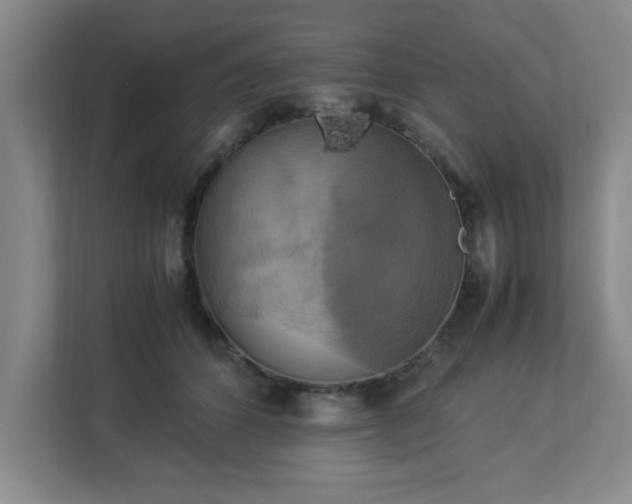 X0000113110512200909041249