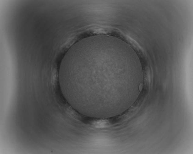 X0000113110513200909041248