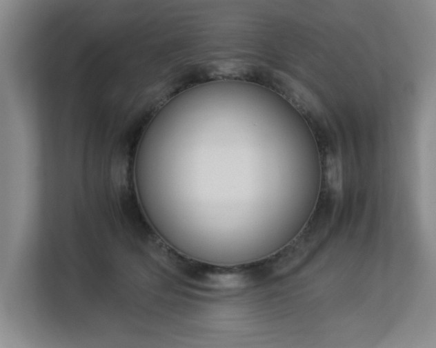 X0000113110514200909041248