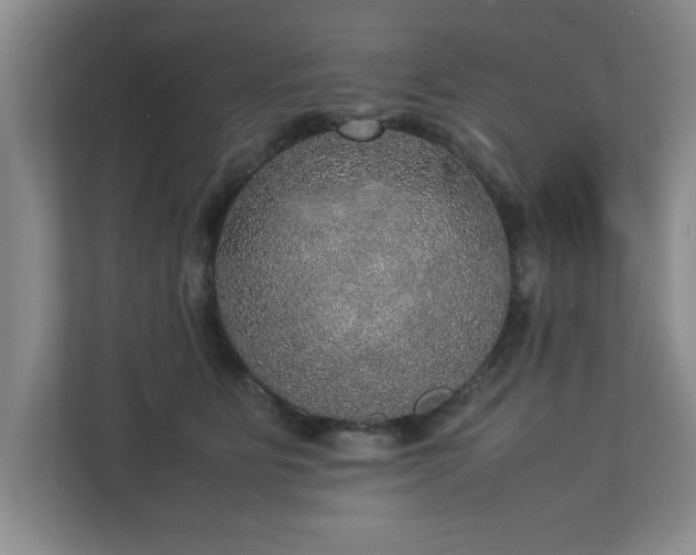 X0000113110515200909041248