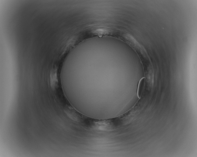X0000113110516200909041248