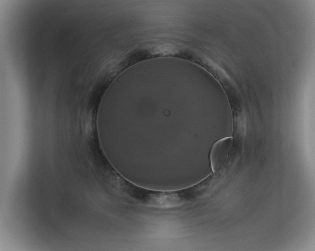 X0000113110517200909041248
