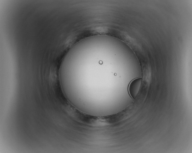 X0000113110518200909041248