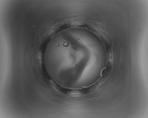 X0000113110519200909041248