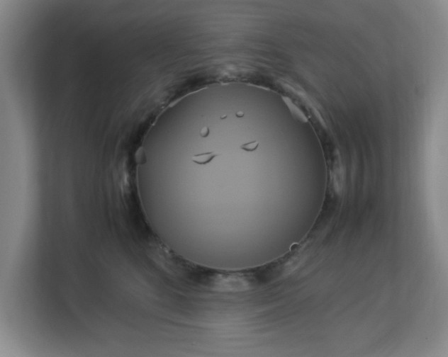 X0000113110520200909041248
