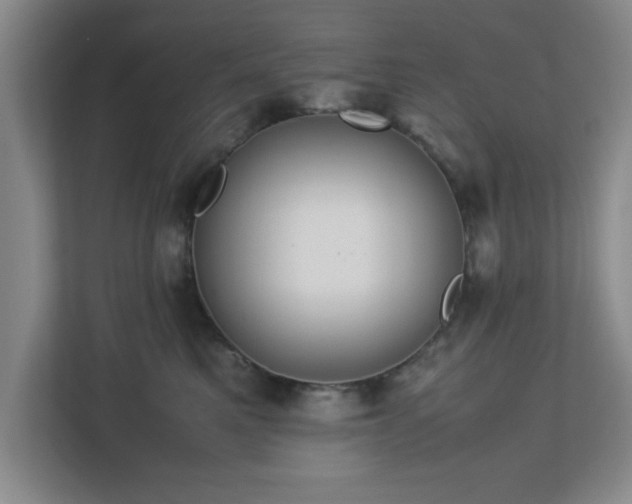 X0000113110521200909041248