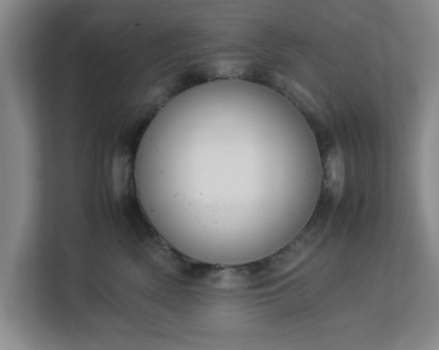 X0000113110522200909041248
