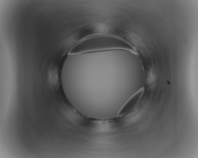 X0000113110524200909041248