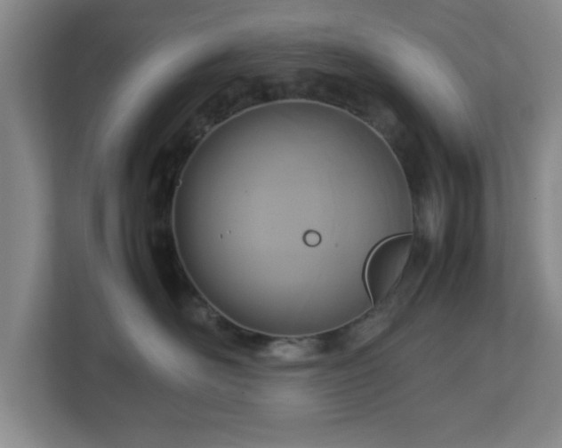 X0000113110526200909041248