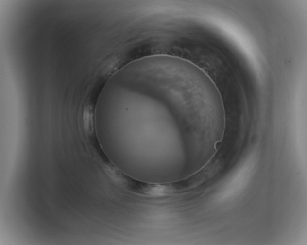 X0000113110527200909041248
