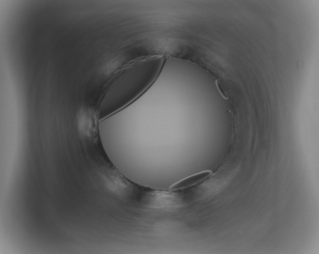 X0000113110528200909041248