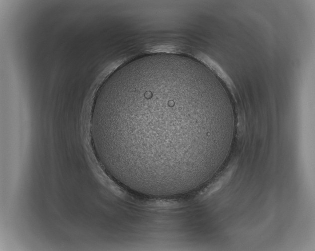 X0000113110529200909041248