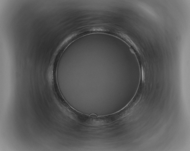 X0000113110531200909041248