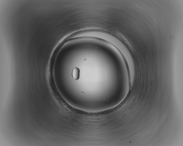 X0000113110532200909041248