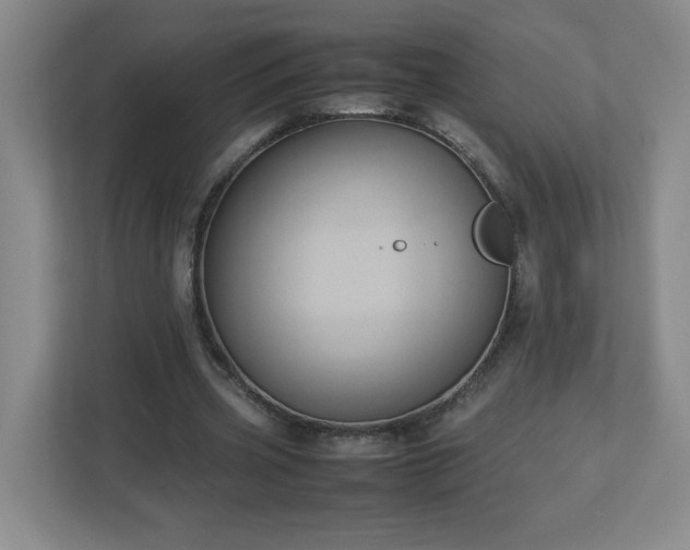 X0000113110533200909041248
