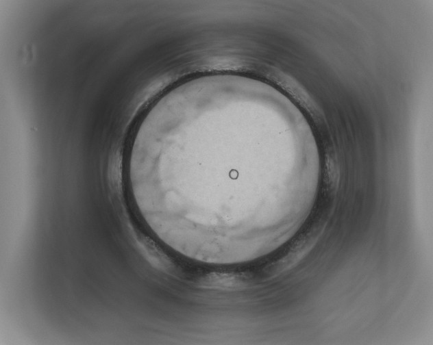X0000113110534200909041248