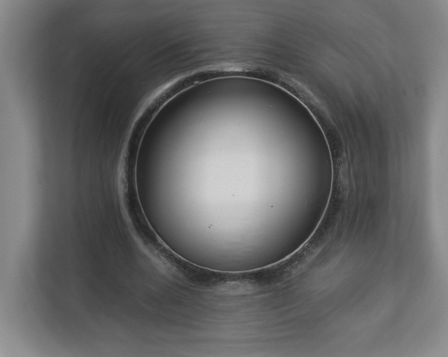 X0000113110536200909041248