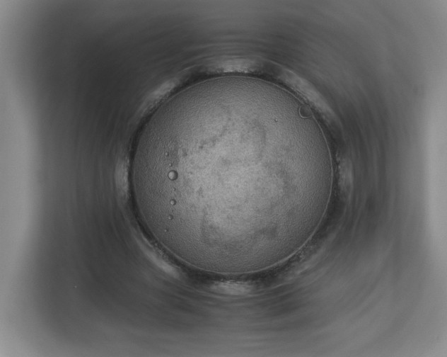 X0000113110537200909041248