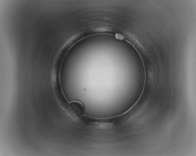X0000113110539200909041248