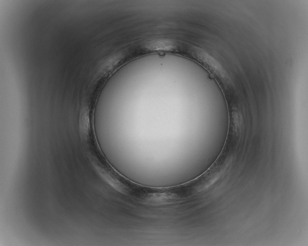 X0000113110541200909041248