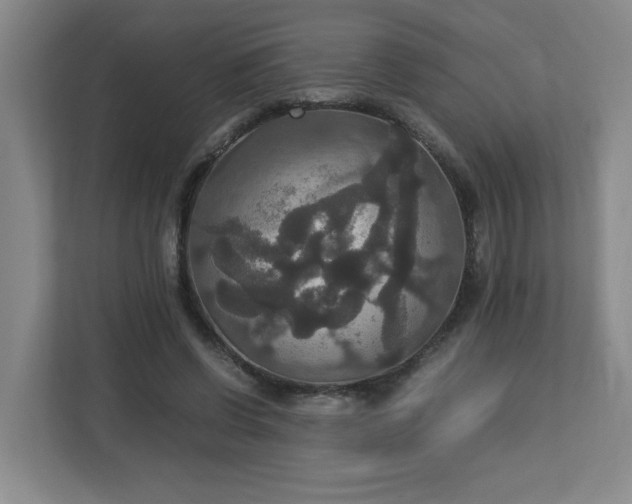X0000113110542200909041248