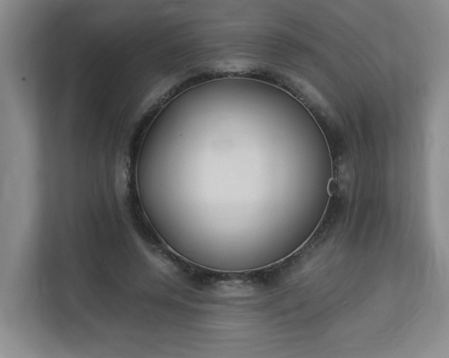 X0000113110544200909041248