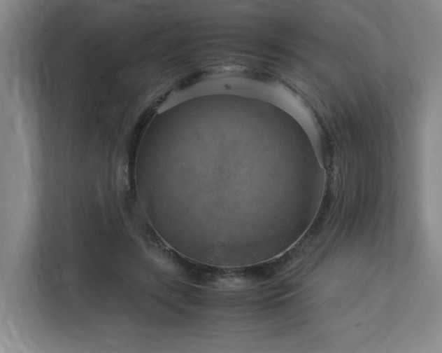 X0000113110547200909041248