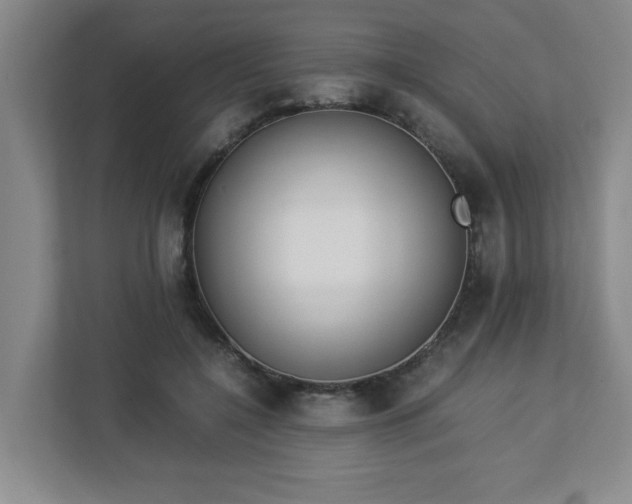 X0000113110548200909041248