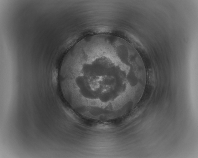 X0000113110550200909041248