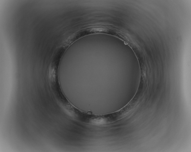 X0000113110551200909041248