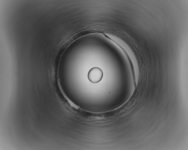 X0000113110552200909041248