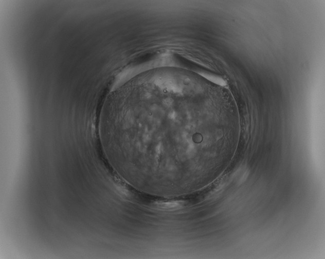 X0000113110553200909041248