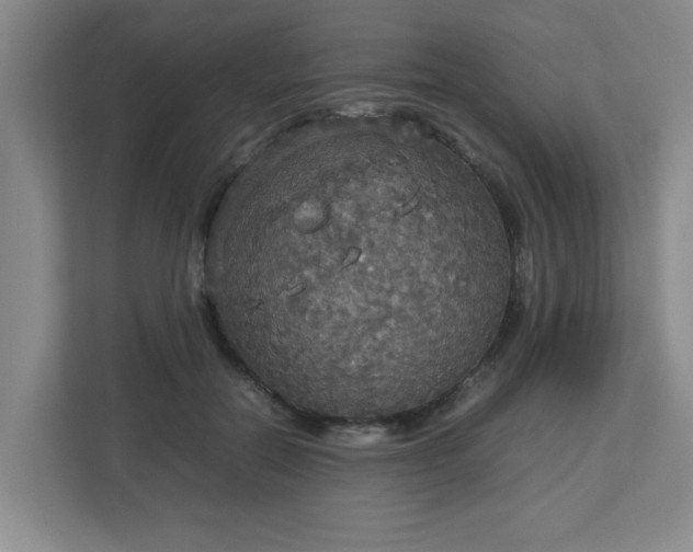 X0000113110554200909041248